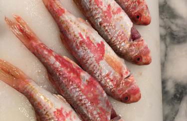 Das Haus auf der Düne - Foto 16