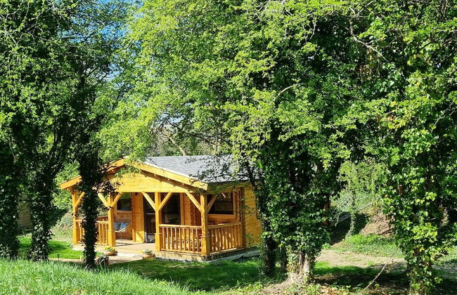 Glyndwr Vineyard - Foto 29