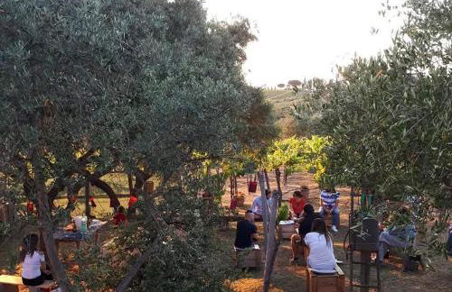 Poggio agli Ulivi vicolo di Colle Reti 22 Frascati - Foto 8