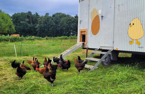 Heidehof Kuppendorf - Foto 19