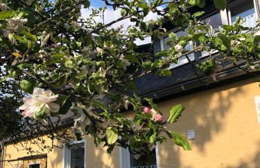 Am Apfelbaum, ein Ferienhaus zwischen Rhein und Mosel - Foto 36