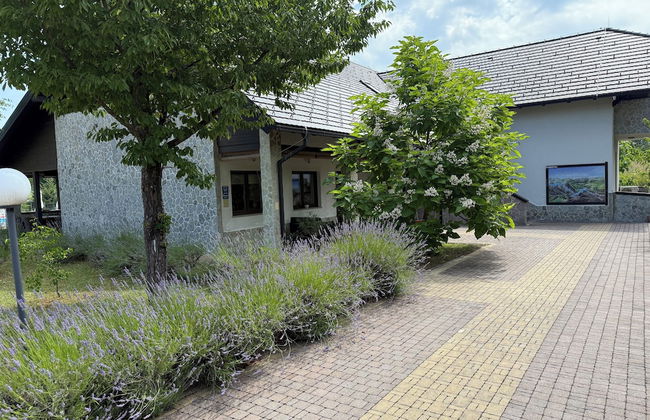 Villa Stone - Photo 1