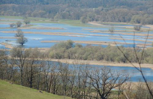 Kranichruf - Photo 21