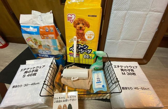 Sapporo Dome Front House - Photo 31