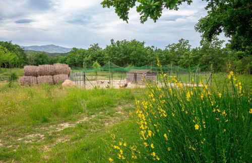 Casale Rancaglia - Foto 70