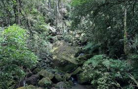 The Valley Cabin - Photo 6