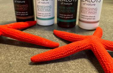 Thetis deluxe apartment Naousa - Photo 14