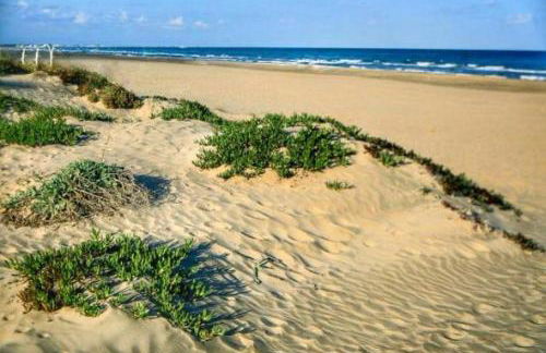 Apartamento de lujo en Canet de Berenguer a 150 m de la playa - Photo 24