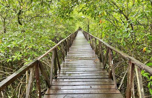 COP30 - Belém - Refúgio perfeito em Benfica-Pará - Photo 51