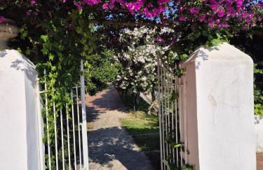 Villa Rica - Photo 33