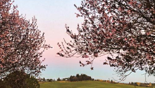 Agriturismo La Terrazza sul Mangia - Foto 5