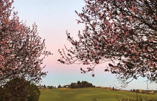 Agriturismo La Terrazza sul Mangia - Foto 5