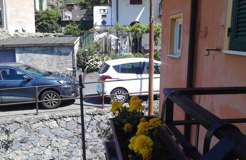 Mare, Monti e...Cinque Terre - Foto 44