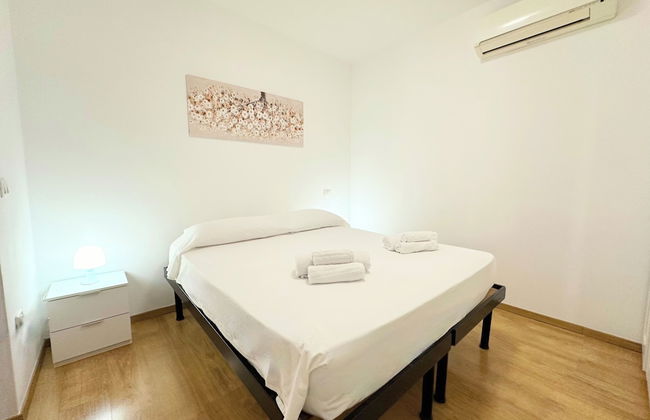 Cleo mimosa - Foto 2