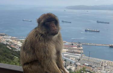 Buena Vista Apartment, 3 bedrooms - Foto 58