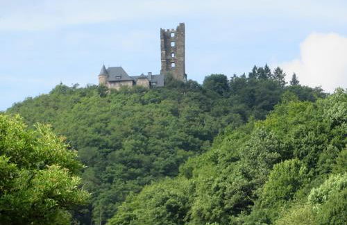 Ferienhaus Mauseloch - Foto 9