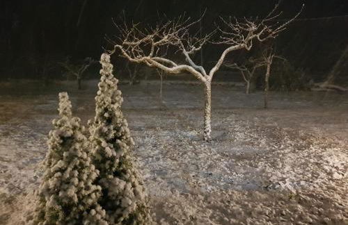 Etna, salvia e rosmarino - Foto 38