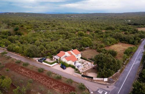 Apartman Hana 1 - Photo 7