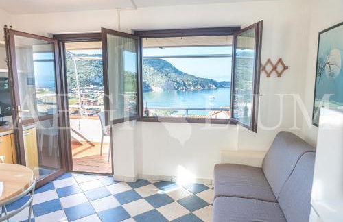 Giglio Viola - Foto 16