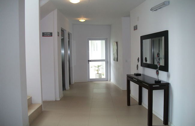 Avutarda de Carilo - Photo 2