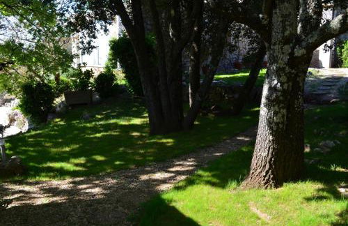 Sous les chênes - Photo 13