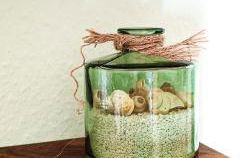 Auszeit auf 1000 m Höhe mit Familie & Hund - Foto 24