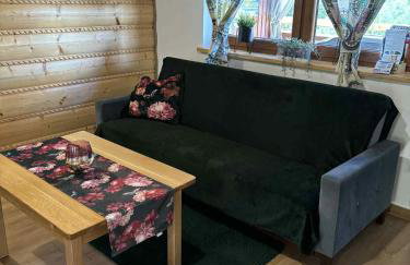 Bieszczadzki Bohater Domki 533-502-137 - Photo 20