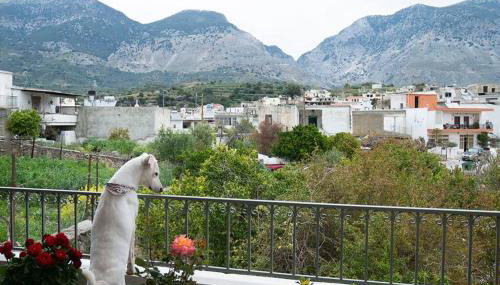 Merastri Cretan Home - Foto 5