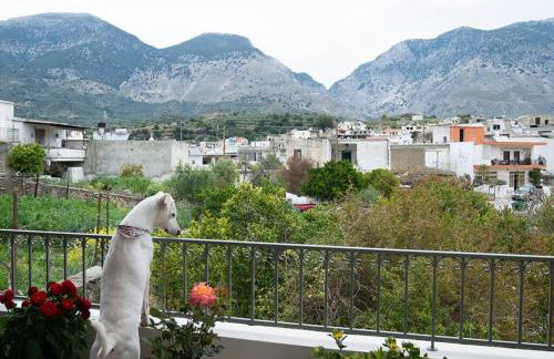 Merastri Cretan Home - Foto 5