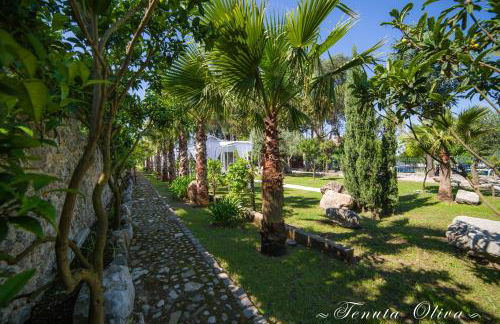 Tenuta Oliva - Foto 37