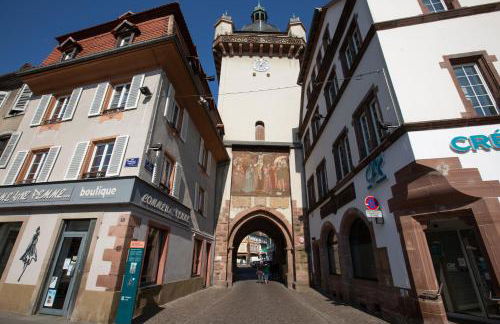 LE RHENANUS Martin Bucer - grand appartement au calme - centre ville - parking gratuit - Foto 24