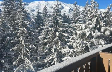 Ours Blanc #4 - 3 guests - Ski in - Ski out - Foto 26