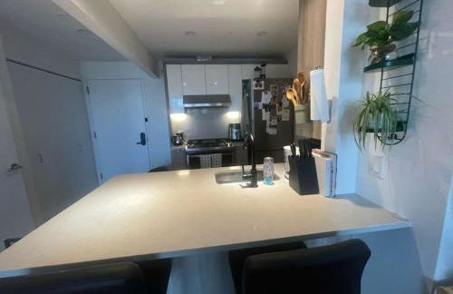 Spacious Modern Greenpoint Studio with Luxury Design and Easy Midtown Access - Foto 12