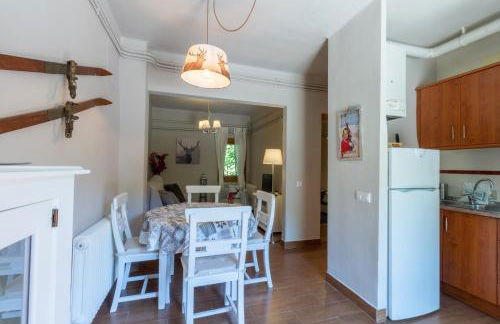 Apartaments Alta Muntanya - Foto 47