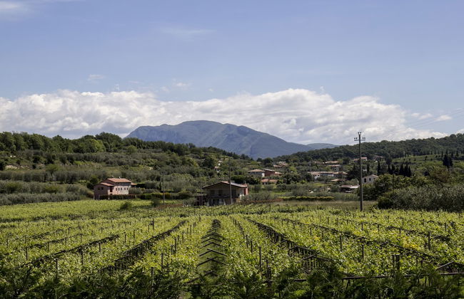 Agriturismo La Rocca - Foto 44