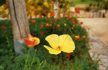 Bambus, Jungle, Dachterrasse & bequem bis Zentrum - Foto 34