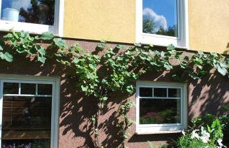 Casa Ramke - Foto 21