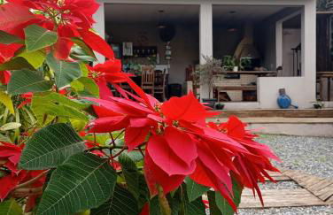 Recanto do Sossego - Foto 37