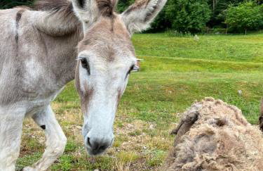 Gîtes du Saut des Cuves - Foto 1