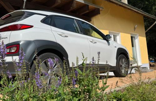 Siebenschläfer - Photo 14