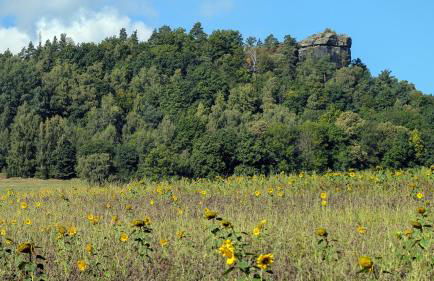 Burg Schöna - Suiten und Zimmer - Foto 57