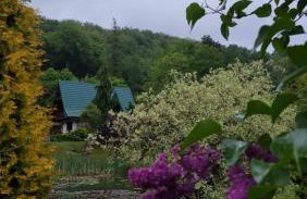 Dzikie południe - Foto 30