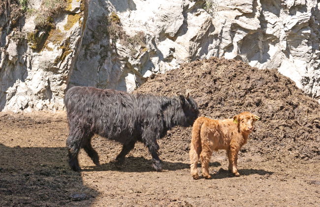 Urgbach Apart - Foto 25