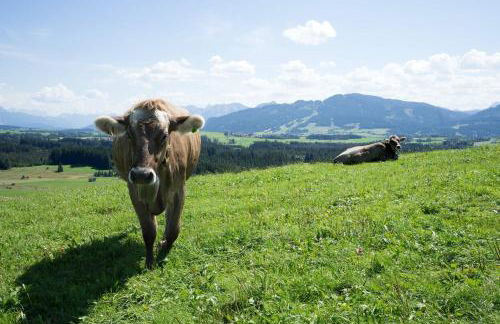 Oberstüble - Foto 16