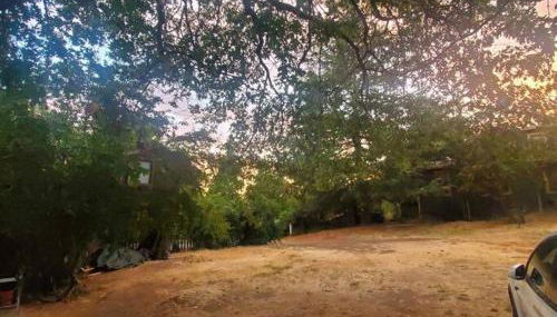 Cozy, Cheerful & Charming Cabin - Historic Julian - Foto 2