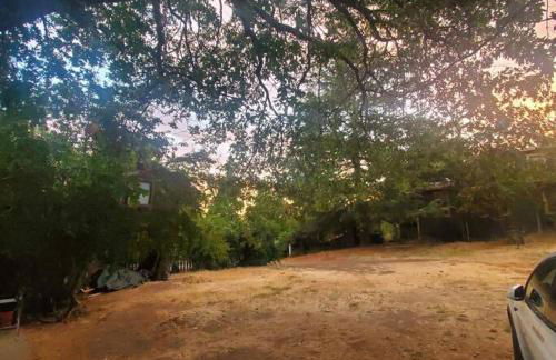 Cozy, Cheerful & Charming Cabin - Historic Julian - Foto 2