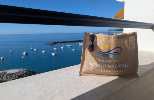 Sonido del mar Gran Canaria - Montemarina - luxury panoramic view - Foto 31