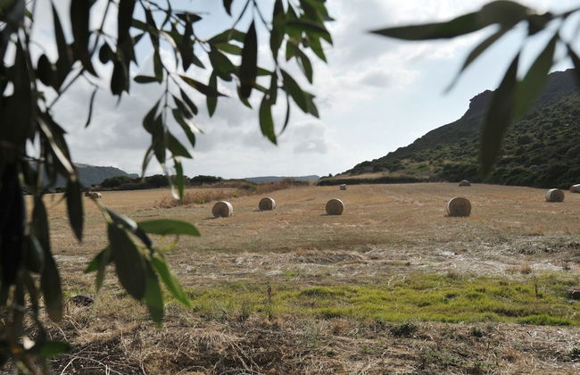 B&B La Roccia dell'Elefante - Photo 31