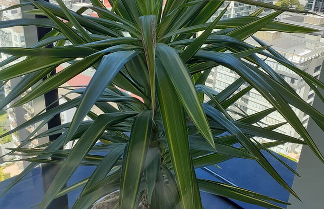 Top Floor Stunning Views - Foto 9