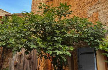 Maisonnette au pied du Mont Ventoux ste colombe - Foto 16